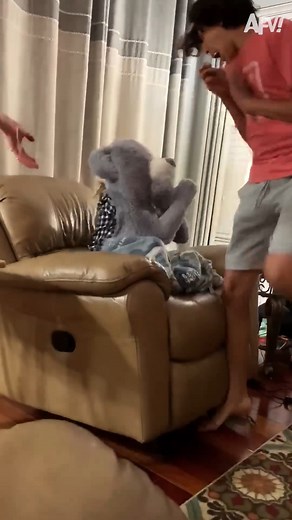 That dog is questioning everything... 😂 #afv #prank #funny | America's Funniest Home Videos