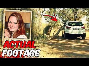 South African Handler Katherine Chappell EATEN ALIVE by Lion...