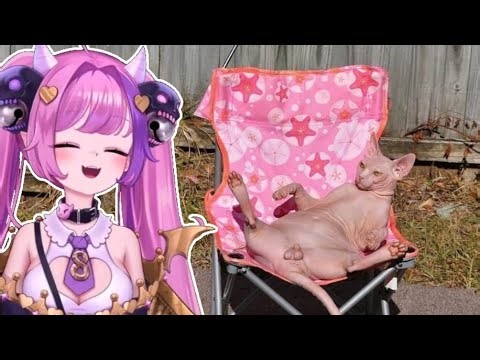 Ironmouse Reacts To The Cutest Animal Moments Ever