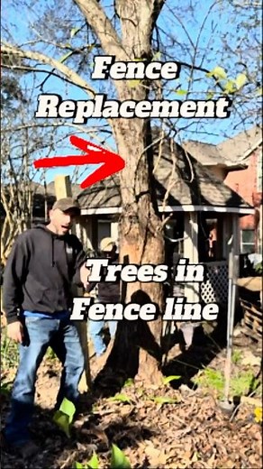 What to Do When a Tree Is in Your Fence Line #fenceinstallation