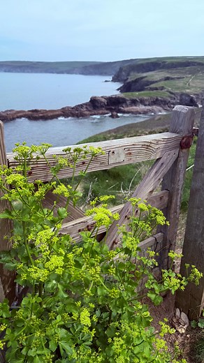 Enjoying our days at Port Issac. Tomorrow we head to Cowslip to start classes there. Will be wonderful to see everyone. The weather has been lovely. A bit cooler today and a neat foggy vibe tonight. Stacy and I had a blast beach combing, while Maggie relaxed and stitched. These are the good days…. #gooddays #beachcombing #portissac #portissaccornwall #funwithfriends #seaglass | Blackberry Primitives