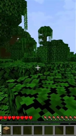 Guys I think it's a job application #minecraft #clips #gaming #minecrafthorror #horrormod
