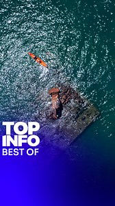 Le second best of de la semaine 📰 L’ONU contre la montée des eaux, Oasis se reforme et succès du Versailles FC 🔍 Retrouvez tous les sujets sur TF1 👉 https://l.tf1.fr/Qk | TF1