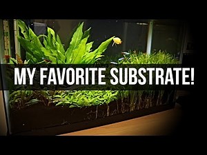 Planted Tank Substrate | My Favorite