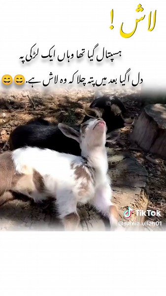 Funny Poetry Moments from One Million Audition