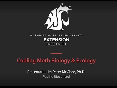Codling Moth Biology and Ecology