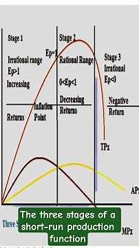 The three stages of a short-run production function