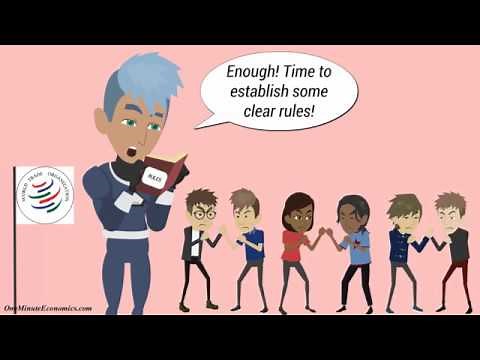 The World Trade Organization (WTO) Explained in One Minute