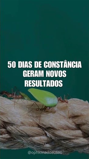 Transformação exige constância diária.