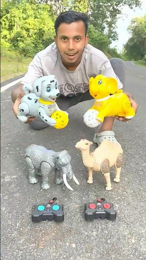 Rc Elephant and Rc Dog & Rc Camel Unboxing 😃👍