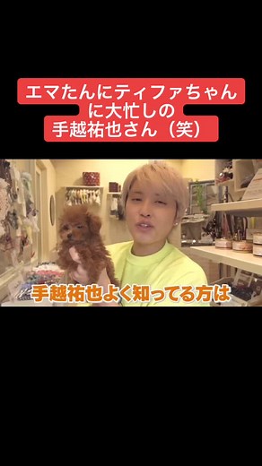 手越祐也の愛犬たちとディズニーミッション