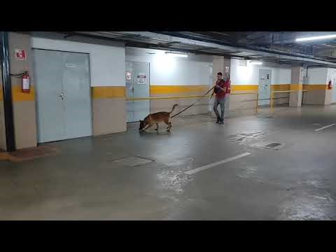 Hard surface tracking