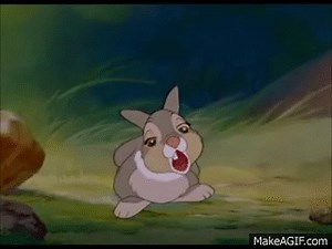 Thumper - If you can't say something nice, don't say nothing at all on Make a GIF