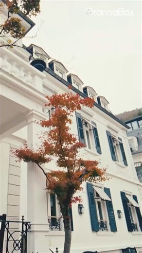 B6《Postscript of Love》 🌟 Continue the story here 👉🏻 📲 🔗https://short.inbeidou.ai/link/dramabox/serial/2VyZnIS7/12 ⬆️⬆️Watch more🔥 #DramaBox #flickReels #dreameshort #moboreels #shotshort #stardusttv #reelshort #sereal #ytshorts #shortdramas #tvseries #drama #cdrama #foruyou_page #foruyou #movie #shortfilm #romance #TrueLove #TV #shortdrama #shortfilms | Leah