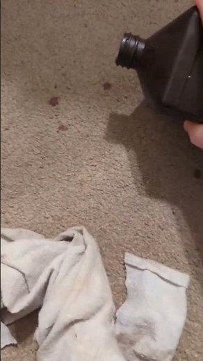 How to get blood out of your carpet with 1 ingredient!