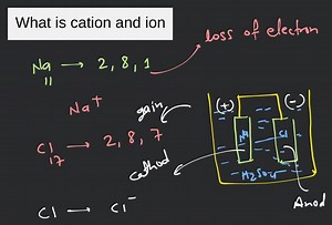 What is cation and ion... | Filo