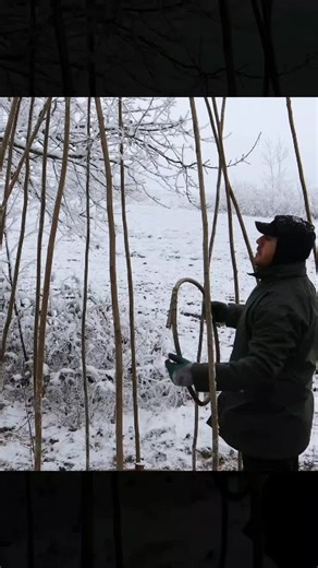 Surviving a Snowstorm: Lessons from an Underground Shelter