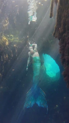 This gorgeous mermaid tail just swam into my collection... 🧜‍♀️
