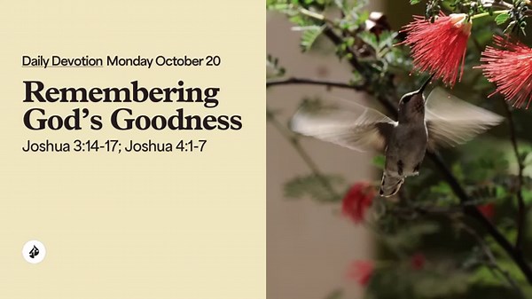Remembering God’s Goodness – Daily Devotional