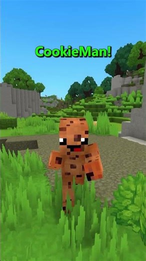 The Coolest Hytale Mod (For Now!)
