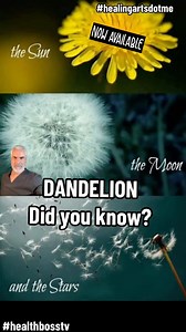 Get Dandelion Root Powder here! Benefits: Liver • Detoxification • Iron • Immune Booster • Antioxidants • Inflammation • Cholesterol • Blood Pressure • Constipation • Digestive Health • Blood Sugar • Lowers Uric Acid • Kidney Function #HealthBossTV #HealingArts #HealingArtsApothecary #Healingartsme #Healthbosstv #BeYourOwnHealthBoss #health #Dandelion #Liver | Healing Arts
