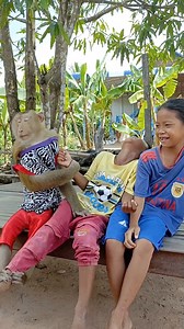 173K views · 4.4K reactions | SokYaa Monkey Having Fun with Friends on the Bed Their Playtime Will MELT Your Heart! | Sokya Video | Facebook