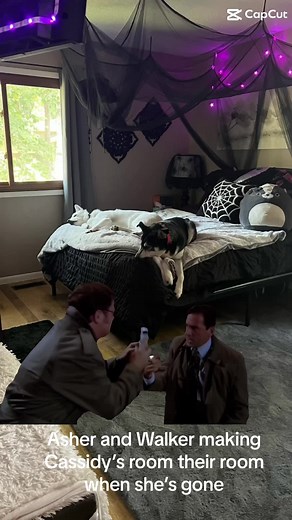 Shannon Allison Evans on TikTok