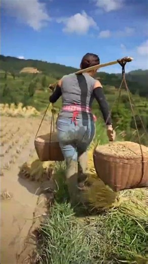 如果你不小心刷到我，请留下来翻翻我的作品吧，也许能治愈你烦躁的心情！#记录真实生活 #山里姑娘 #农村生活