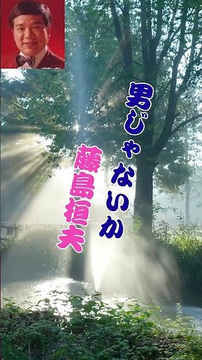 男じゃないか 藤島桓夫...人生の想い出の唄(悲しかった、楽しかった、嬉しかった...当時の想い出)......人生を一緒に楽しみましょう。。 #duet #男が歌う #https