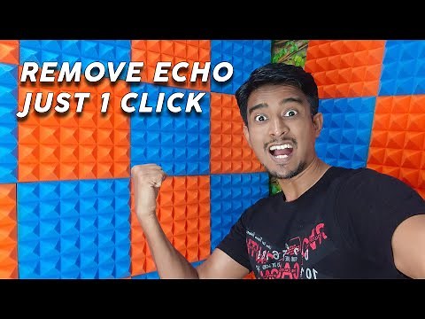 How to remove Echo from video and Room