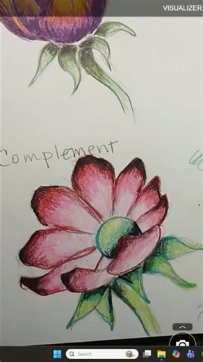 Complementary Colors Short