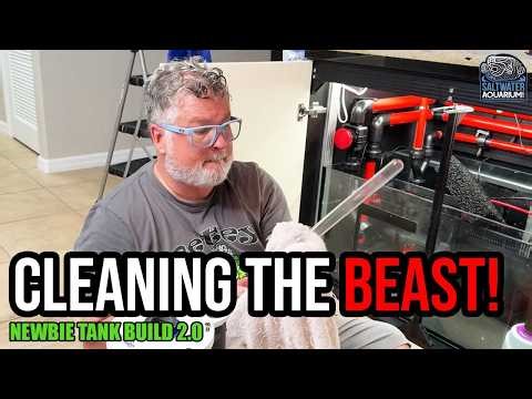 Predator Tank Maintenance: UV Sterilizers, Flow Rates, and Algae Control | Newbie Tank Build 2.0