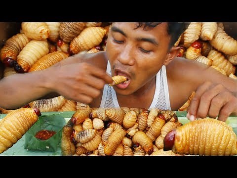 FIND and Cooking Palm Tree Worms | EATING WORMS NO TALKING - Strange food