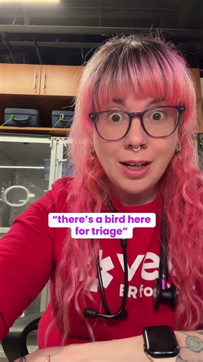 “if it fits though the door…”Unfortunately… sometimes that means a turkey