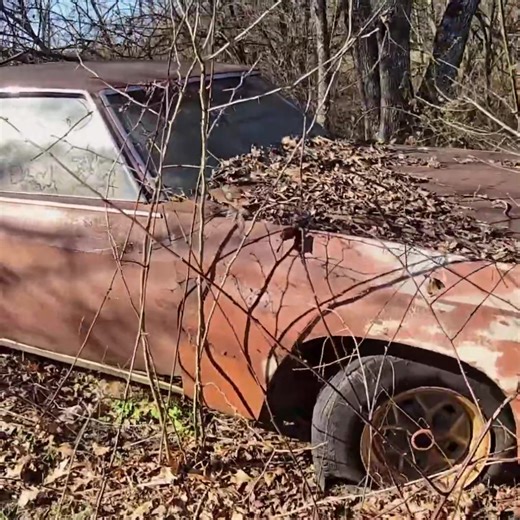 ABANDONED 1970 CHEVELLE.part 1