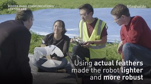 Researchers built a robot bird that uses real feathers to fly