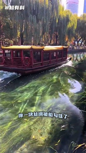 济南的水真是被严重低估了 #济南