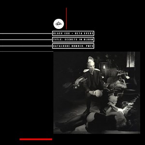 Black Egg   Beta Evers - Secrets In Bloom