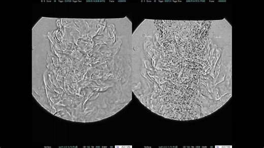 This is the result of an analysis of laser-cladding powder behavior, conducted using the shadow-graph method. This analysis is provided courtesy of the IWATE INDUSTRIAL RESEARCH INSTITUTE. Check it out: https://rebrand.ly/170da7 | NAC Image Technology | Facebook