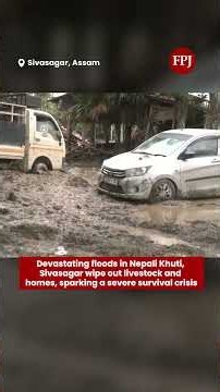 Assam Floods: Severe Livelihood Crisis in Sivasagar’s Nepali Khuti as Livestock & Houses Destroyed