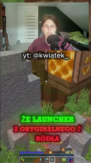 DO YOU REMEMBER MINECRAFT BY WISH?
