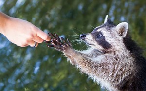 「聽話做事」的員工，其實讓主管超挫折！領導者最激賞的員工行為是？|經理人