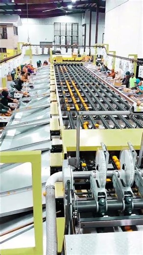 Smart Fruit Sorting Work Skill That Boosts Productivity Today