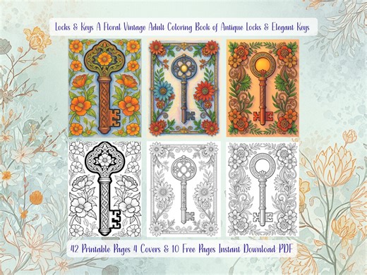 Vintage Elegant Antique Locks and Keys Adult Colouring Book | Printable Pages PDF - Etsy Canada