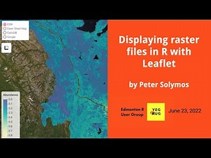 Displaying raster files in R with Leaflet / YEGRUG