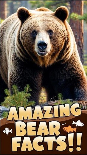 Mind-Blowing Bear Facts! How They Live, Eat & Survive