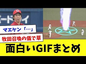 【総集編】プロ野球のおもしろGIF&動画www