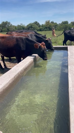 Understanding Modern Agriculture and Farm Life