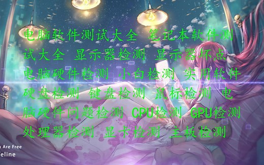 电脑软件测试大全 笔记本软件测试大全 显示器检测 显示器坏点 电脑硬件检测 小白检测 实用软件 硬盘检测 键盘检测 鼠标检测 电脑硬件问题检测 CPU检测