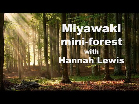 Mini-forests - Hannah Lewis discusses the Miyawaki Method